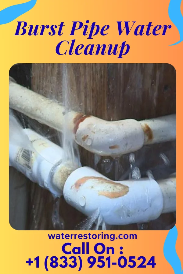 Burst Pipe Water Cleanup in Kerkhoven, MN