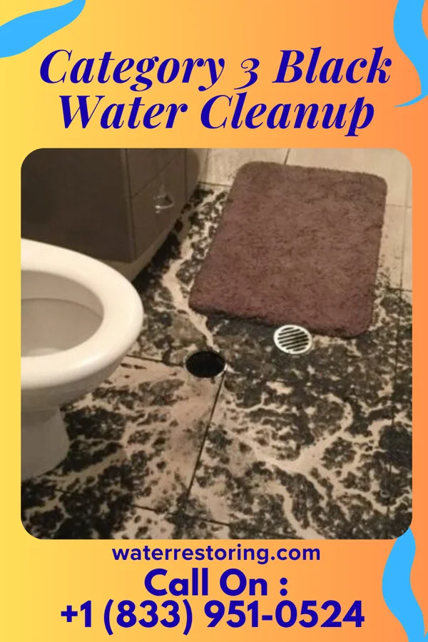 Category 3 Black Water Cleanup in Kerkhoven, MN
