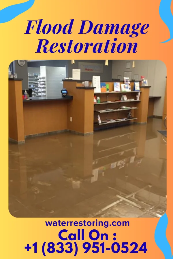 Flood Damage Restoration in Kerkhoven, MN