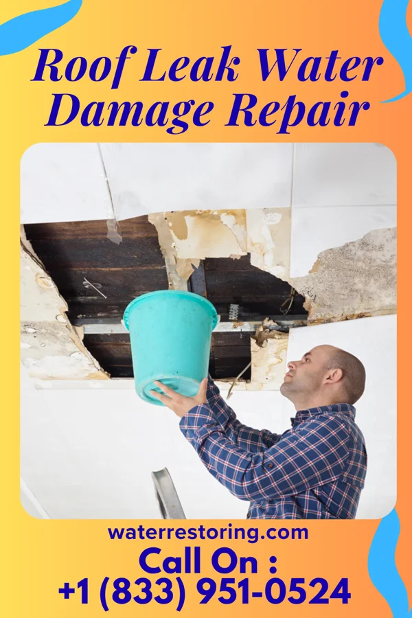 Roof Leak Water Damage Repair in Kerkhoven, MN