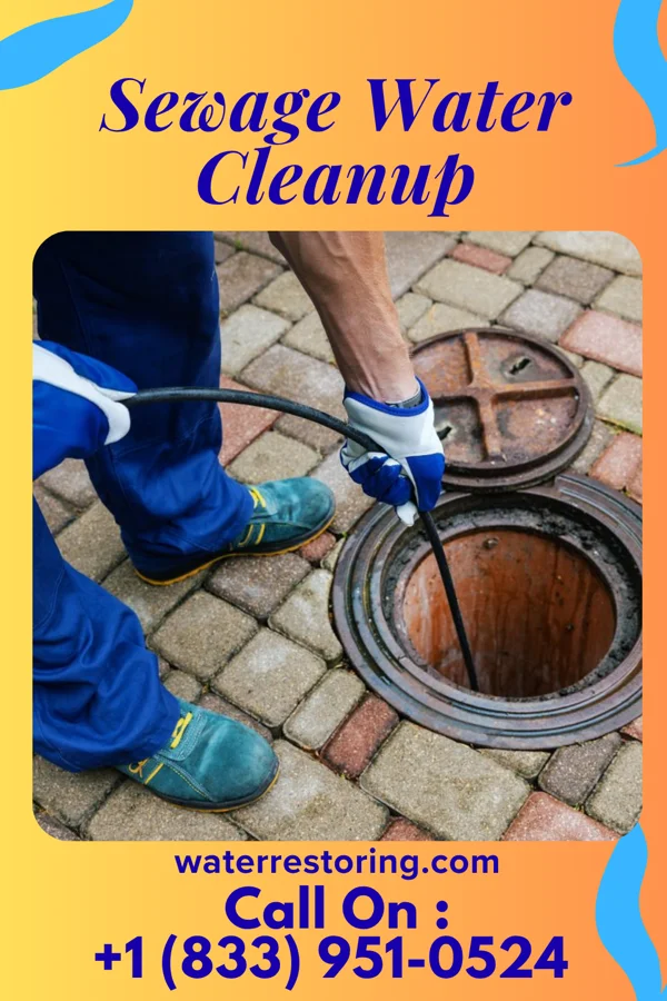 Sewage Water Cleanup in Kerkhoven, MN